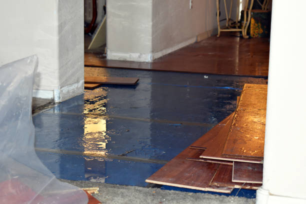 Professional Flood Damage Restoration technician working in Thornton, TX
